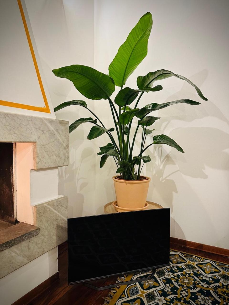 Wow House In Torino Διαμέρισμα Εξωτερικό φωτογραφία